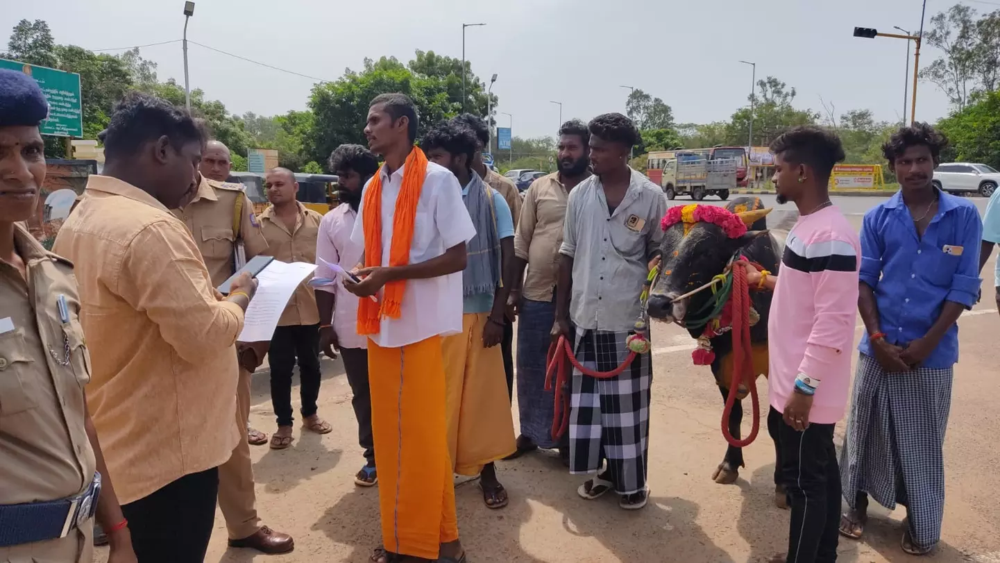 DMK urged to fulfill promise on Rs 1,000 for jallikattu bulls DMK urged to fulfill promise on Rs 1,000 for jallikattu bulls