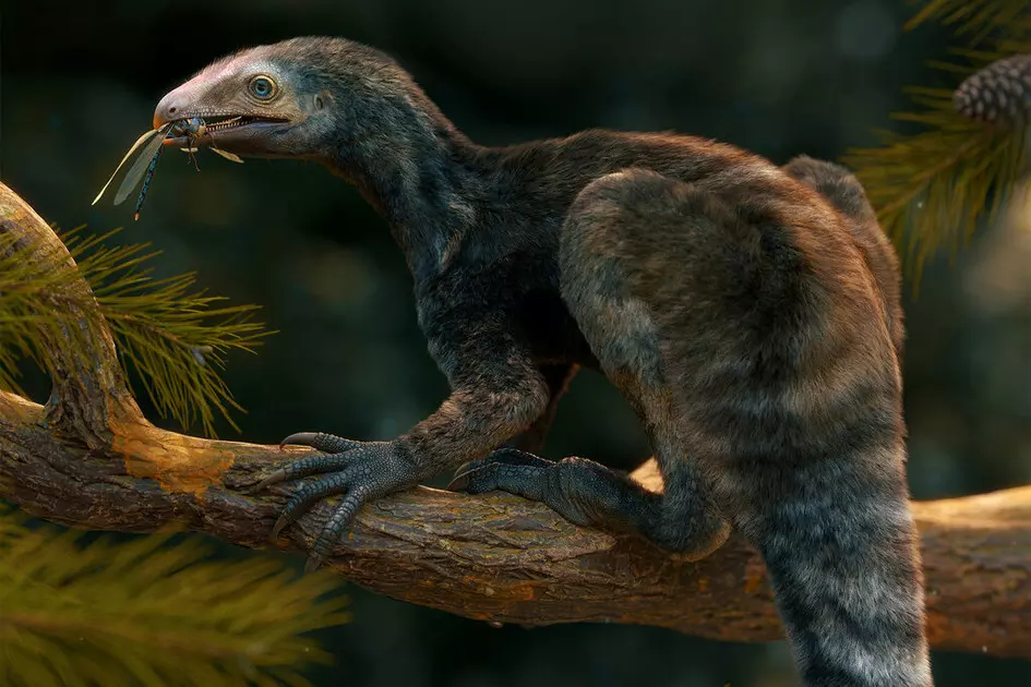 Jurassic park Clue to Pterosaur found in fossil of flightless ‘rabbit reptile’