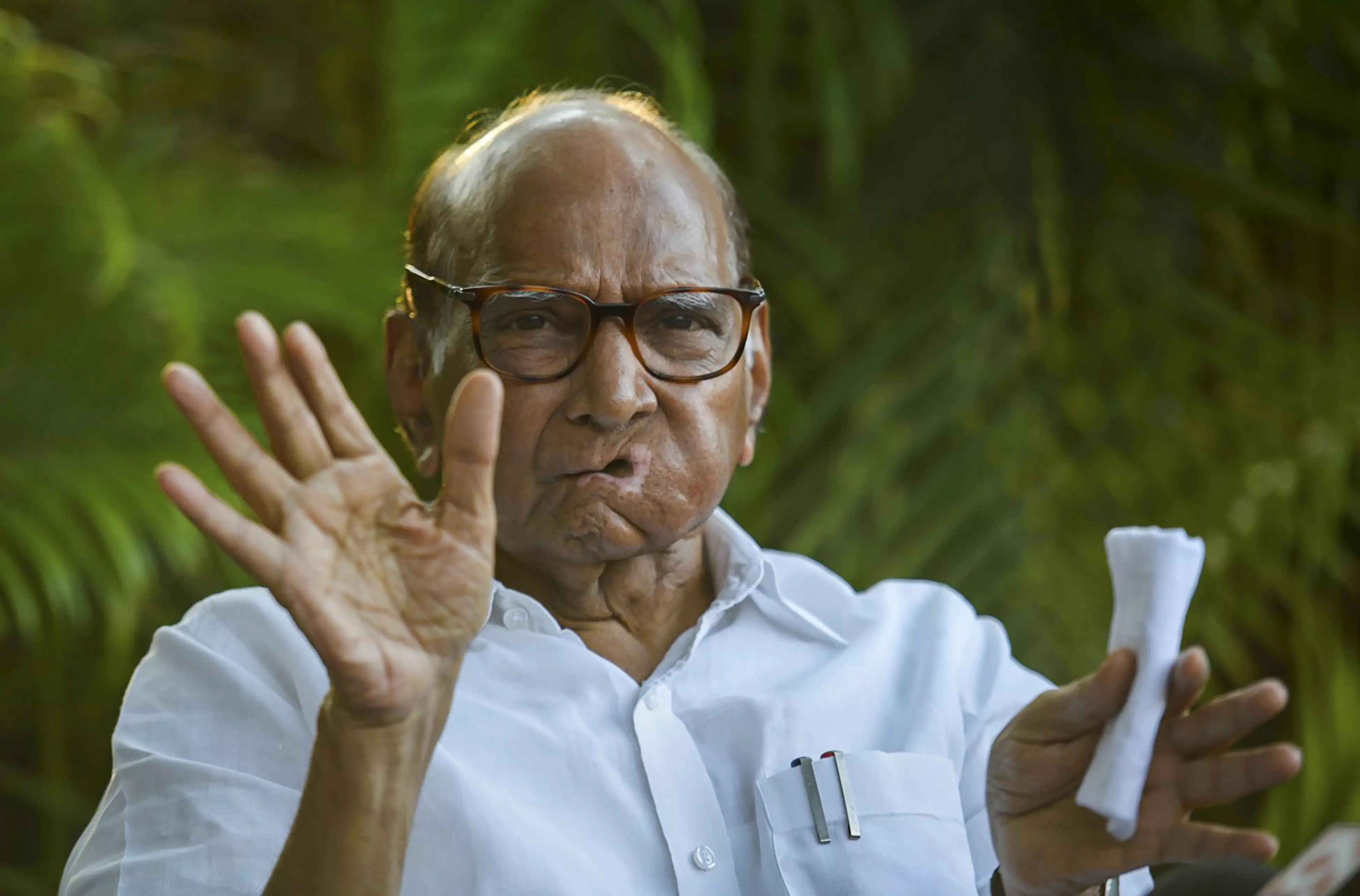 NCP (SP) wont settle for less in assembly seat-sharing, Pawar hints at party meet