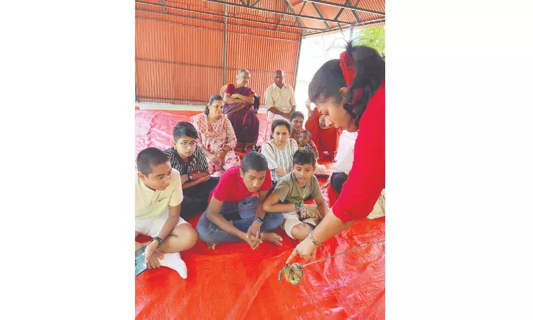 Explore the fascinating world of reptiles with MCBT’s quizzes