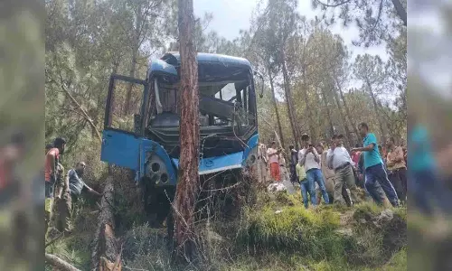Bus with over 40 passengers falls into gorge in Himachal Pradesh