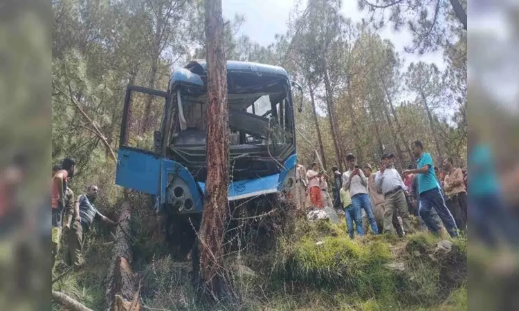 Bus with over 40 passengers falls into gorge in Himachal Pradesh