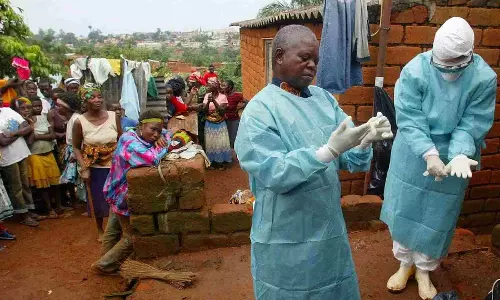 Tanzania declares end of Marburg viral outbreak