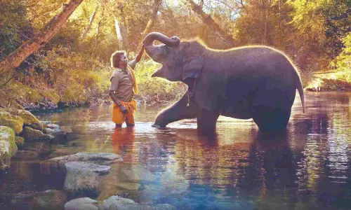 Goa Environmental Film Festival kicks off with The Elephant Whisperers