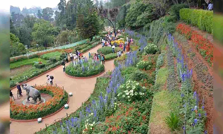 Tourism flourishes at Ooty this summer