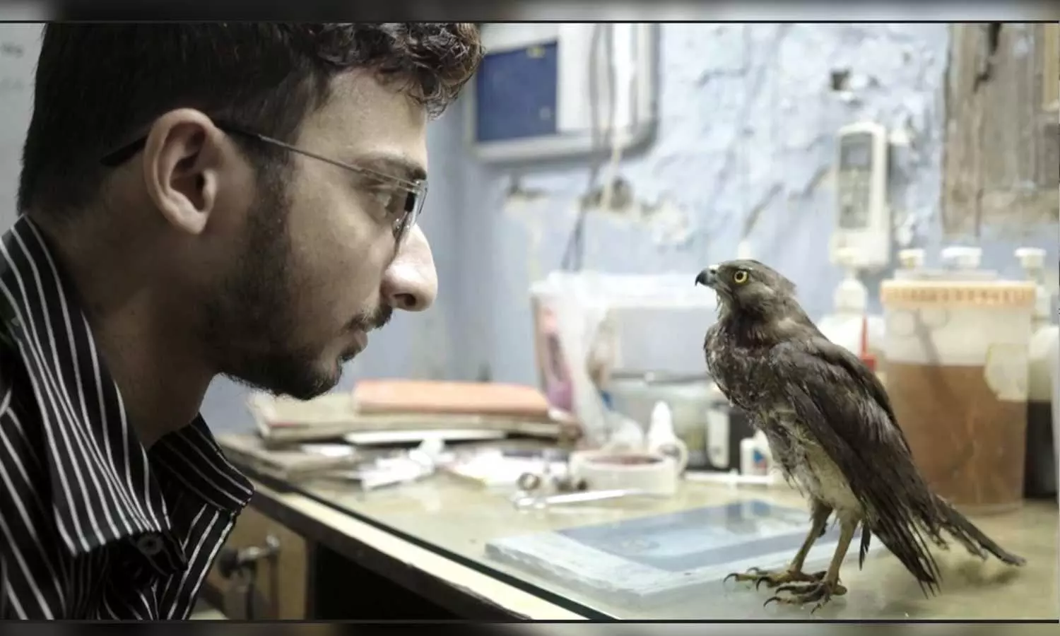 Movies that send out a valuable message-dont take nature for granted