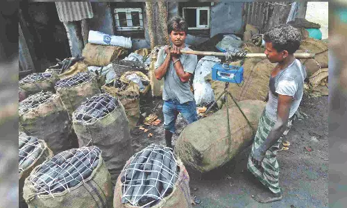 Rs 2,980 cr set aside for Coal and Lignite Scheme