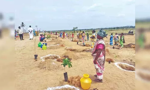 Villages abutting Palar take activist’s help to prevent flood havoc