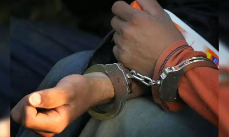 Man held for killing street dog with air gun