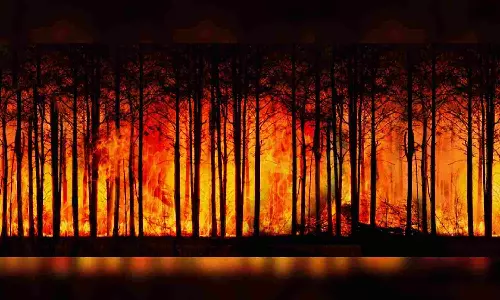 Smoke from Canadian wildfires forecast to reach Norwa