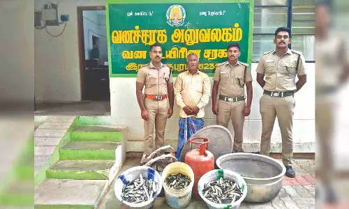 45 kg processed sea cucumbers seized in Ramnad