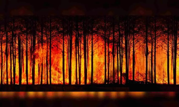 Smoke from Canadian wildfires forecast to reach Norwa