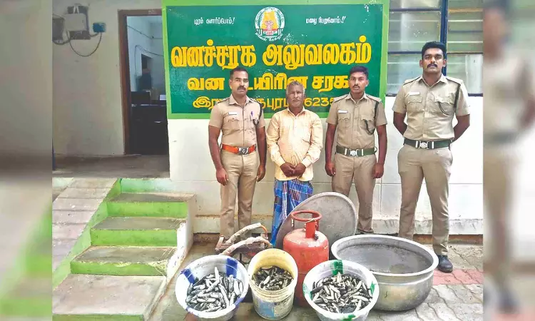 45 kg processed sea cucumbers seized in Ramnad
