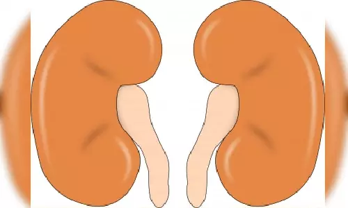 New FDA approved antiviral shows promise for kidney transplant patients