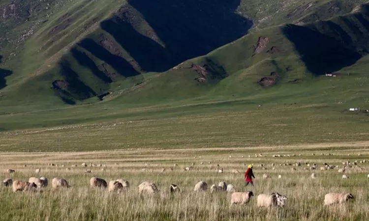 China forcibly seizes Tibetan farmers land to build hydropower dam