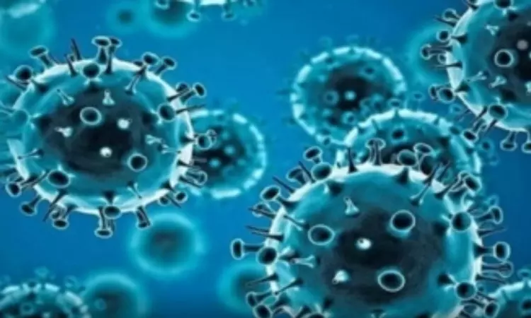 How human immune system detects Covid