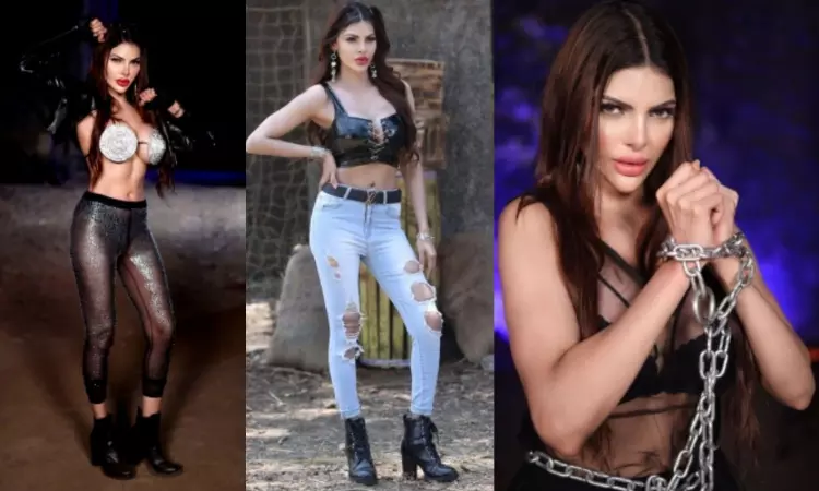 Sherlyn Chopra says her rap songs speaks about double standards of society
