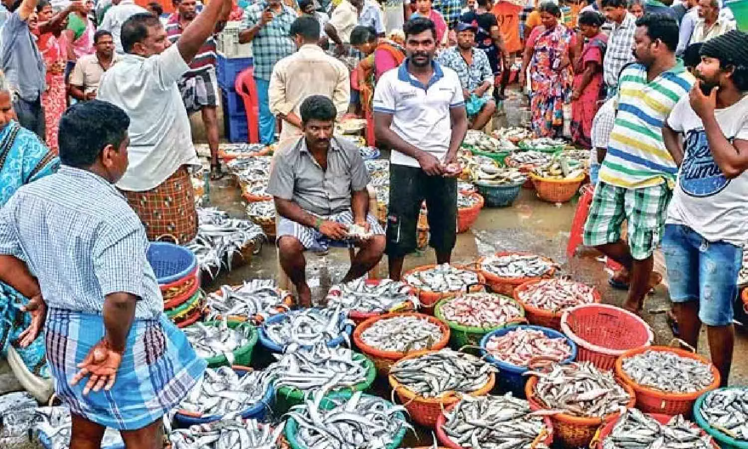 Seafood exports touch all-time high of 17,35,286 million tonnes in 2022-23