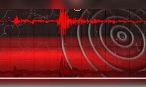 4.8-magnitude quake jolts Assam