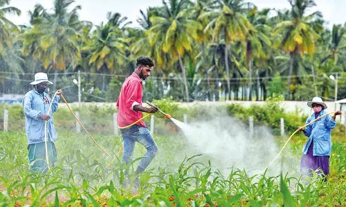 The global fertilizer pricing conundrum