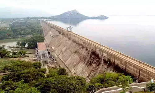 ‘Push Centre to get TN’s share in Cauvery’