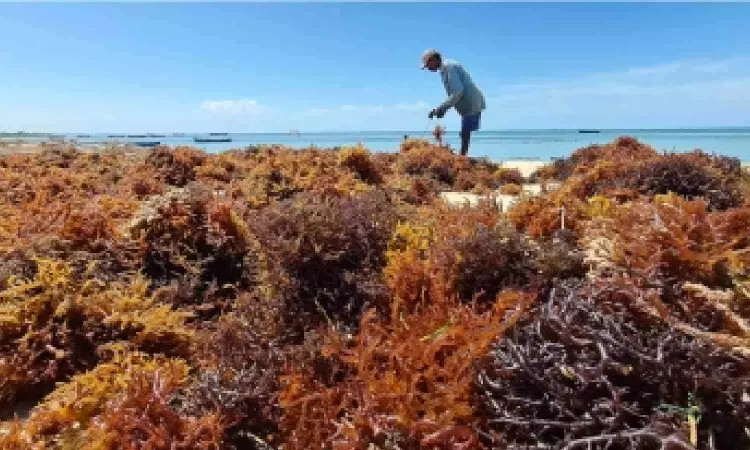 Nutraceuticals products market in India to touch $18 million in 2025