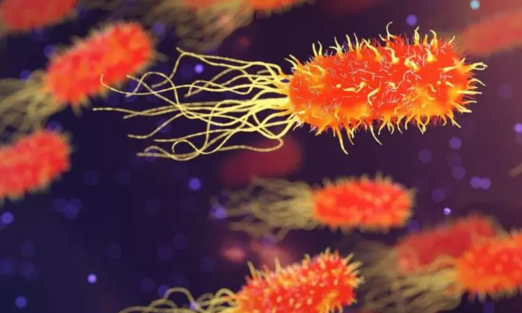 Endometriosis may be caused by bacterial infections: Study