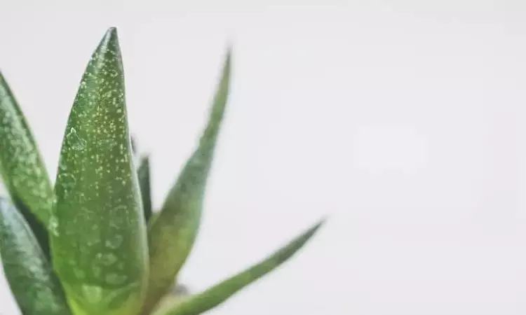 Benefits of aloe vera for your skin Benefits of aloe vera for your skin