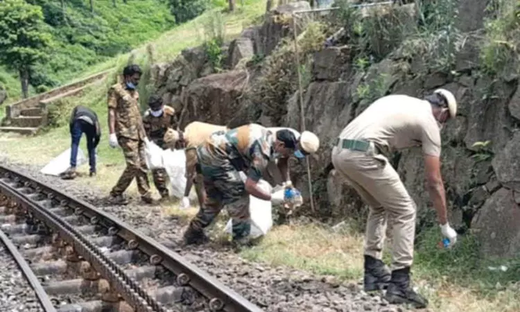 20 kg discarded plastics collected along NMR track 20 kg discarded plastics collected along NMR track