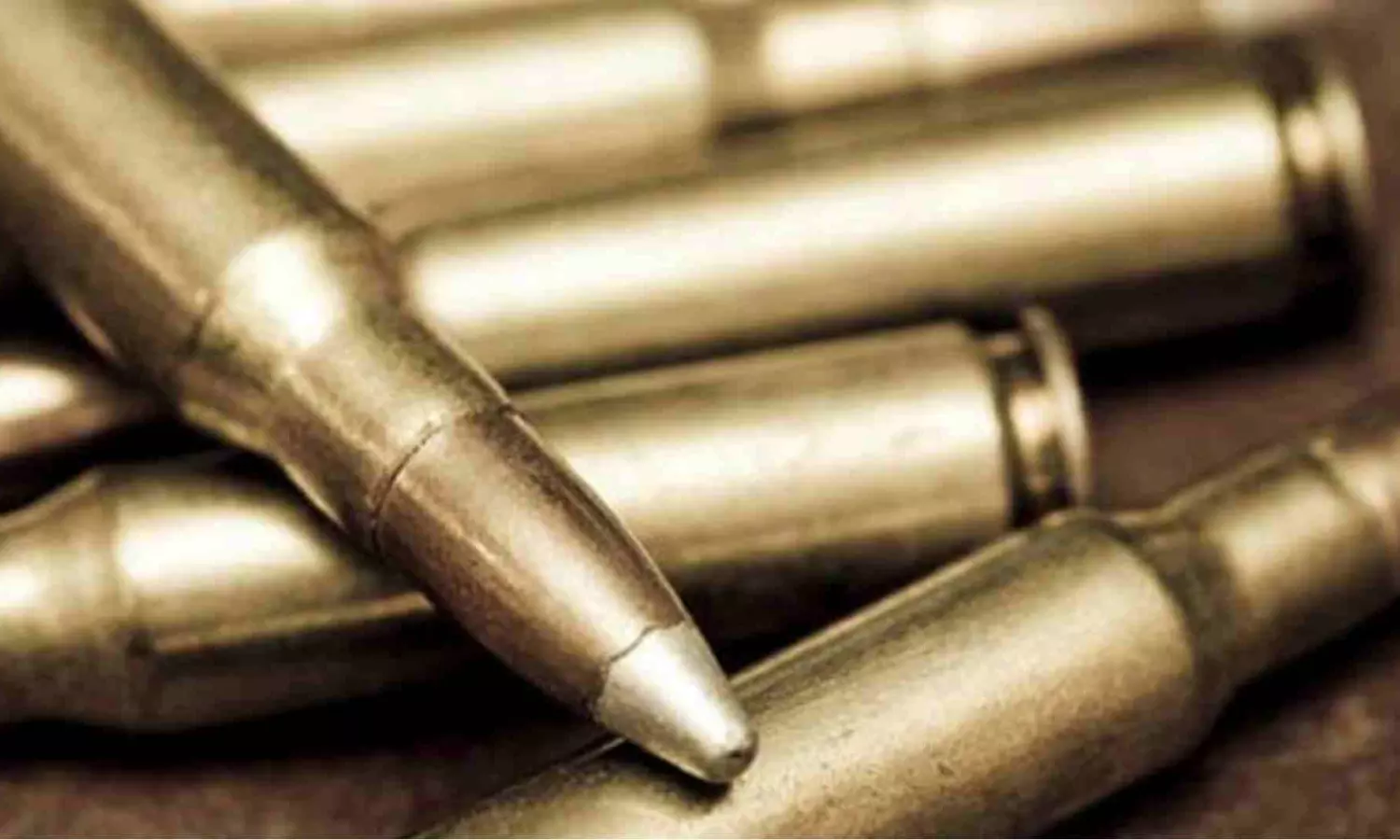 Gun, bullets & passports found in garbage bin in Ayanavaram