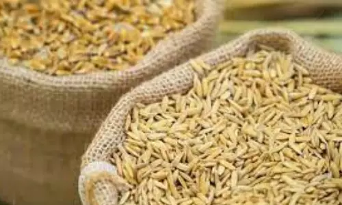 India approves wheat, broken rice exports requests from 4 countries