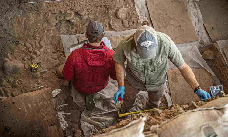 Ancient Maya city discovered in Mexican jungle