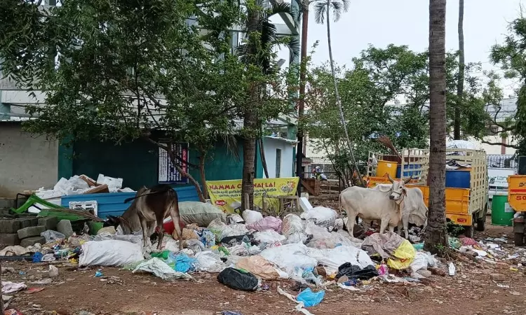 Violating NGT order, garbage handled near Chitlapakkam lake