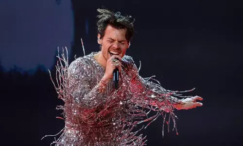 Harry Styles pauses concert so pregnant fan can use bathroom