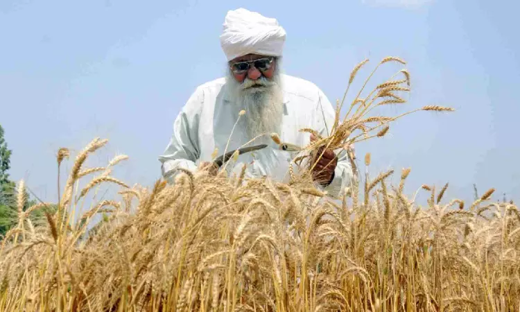 Govt may consider reducing import duty on wheat to curb rising prices