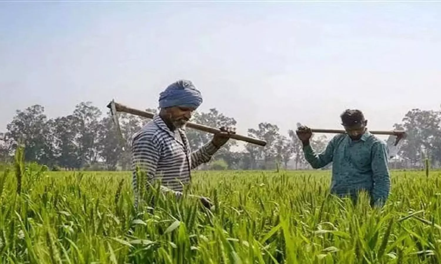 Farmers asked to link bank account and Aadhaar to avail PM scheme