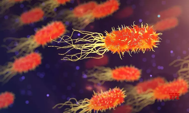 New drug can reduce bacteria’s ability to develop antibiotic resistance