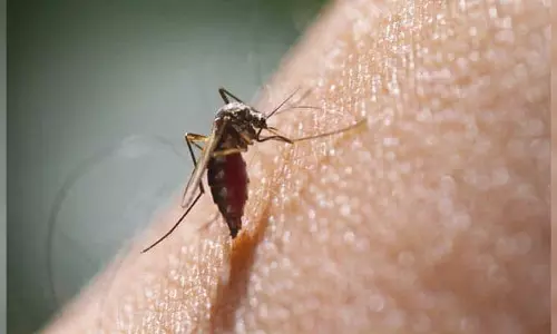 Bangladesh records over 370 new dengue cases in a day