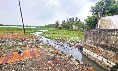 Neglect of lake a huge concern of East Tambaram residents Neglect of lake a huge concern of East Tambaram residents