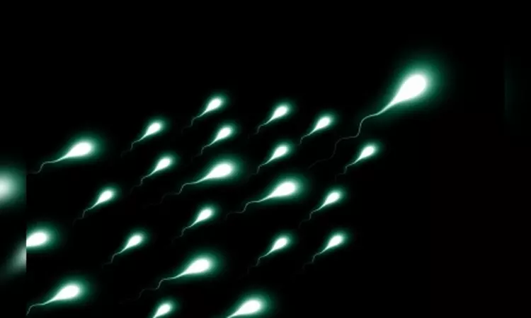 Even mild Covid can ‘permanently damage’ semen quality in men: Study