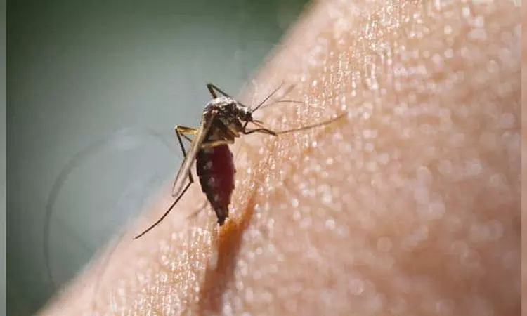 Bangladesh records over 370 new dengue cases in a day