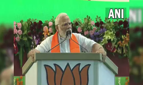 I will take every scamster to task: PM Modi