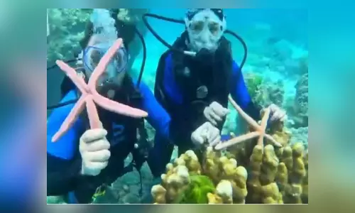 Thailand: Selfie with starfish lands Chinese tourists in jail