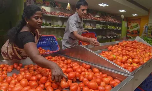 Tomatoes sold for Rs 120 per kg in Chennai markets