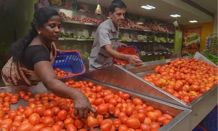 Tomatoes sold for Rs 120 per kg in Chennai markets