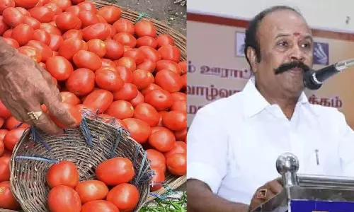 Minister Periyakaruppan to hold discussion on selling tomatoes in ration shops