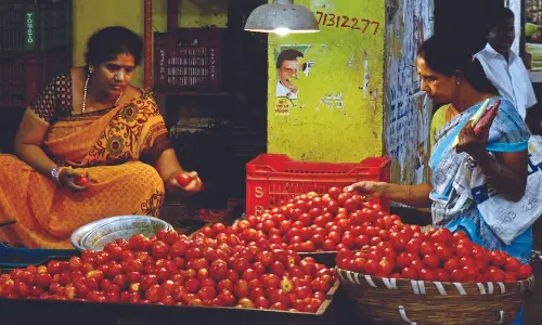 As tomato price hits roof, home chefs replace it with tamarind and lemon