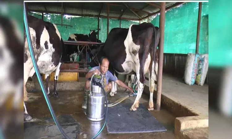 From deficit to surplus, Indias spectacular milk production journey