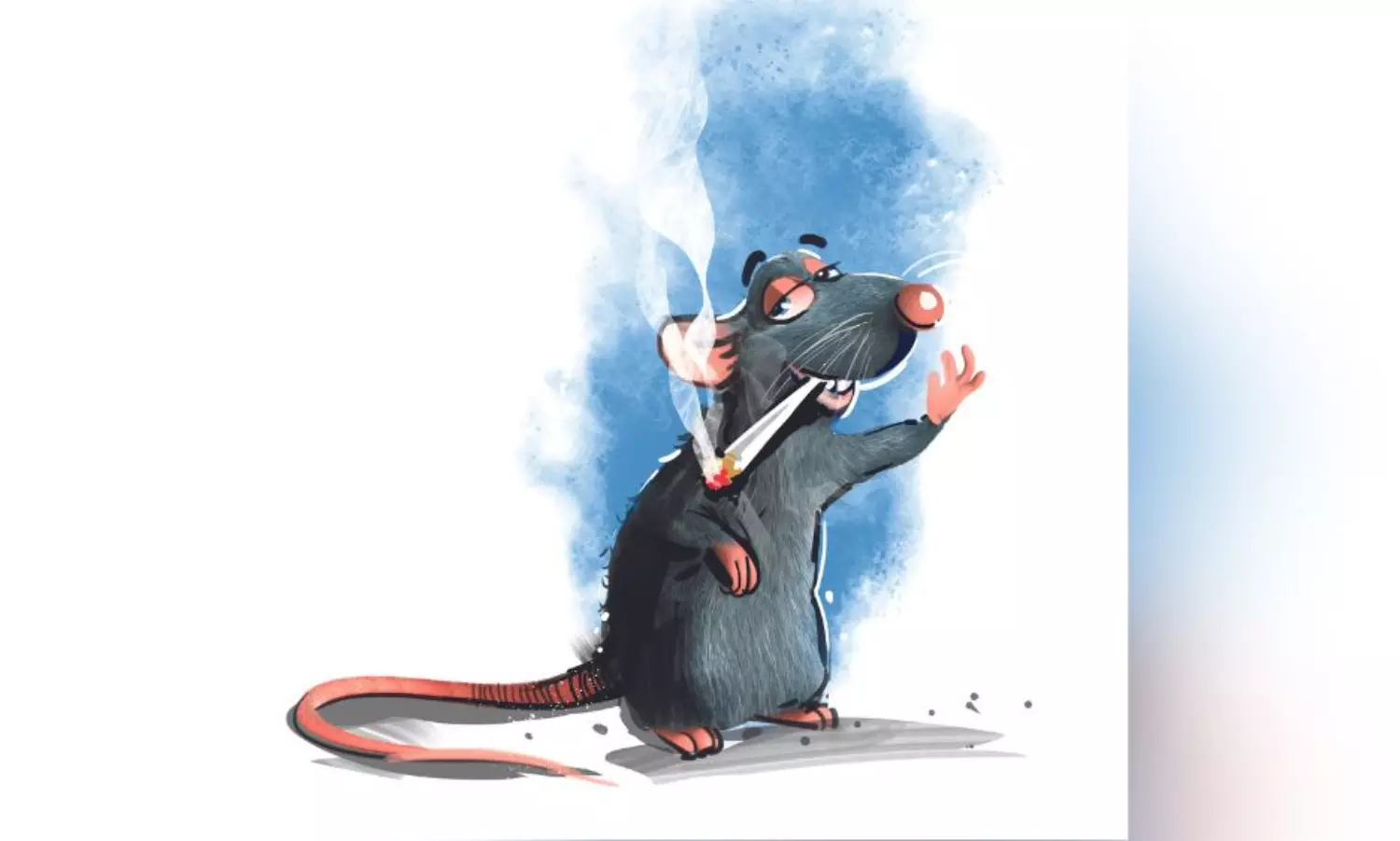 Rats ate ganja, Chennai police tell court; 2 accused walk free