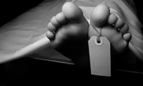 Man stung by wasps atop palm tree; dies